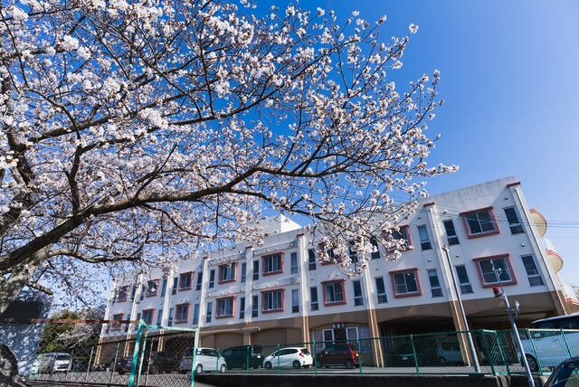 医療法人　萌愛会　長崎セント・ノーヴァ病院 写真 2